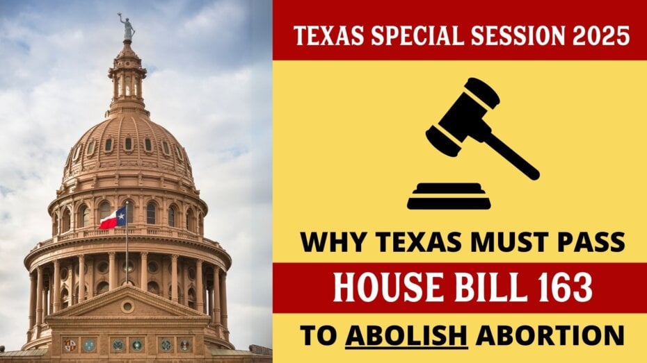 Texas Special Session 2025 - HB 163 to Abolish Abortion