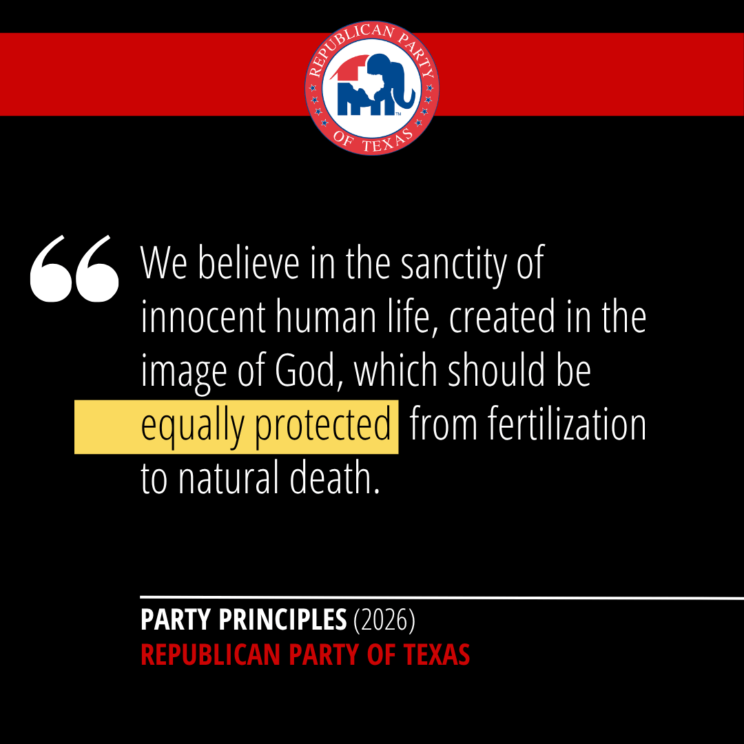 2026 RPT Principles: equal protection